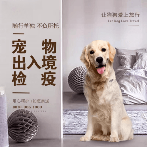 汕尾市宠物托运到哥伦比亚猫狗宠物入境规定和