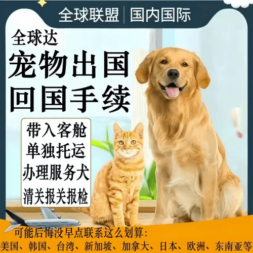 汕尾市宠物托运到柬埔寨宠物入境规定和要求