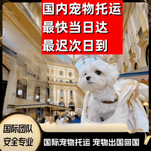 汕尾市到澳大利亚（澳洲）宠物入境规定和要求