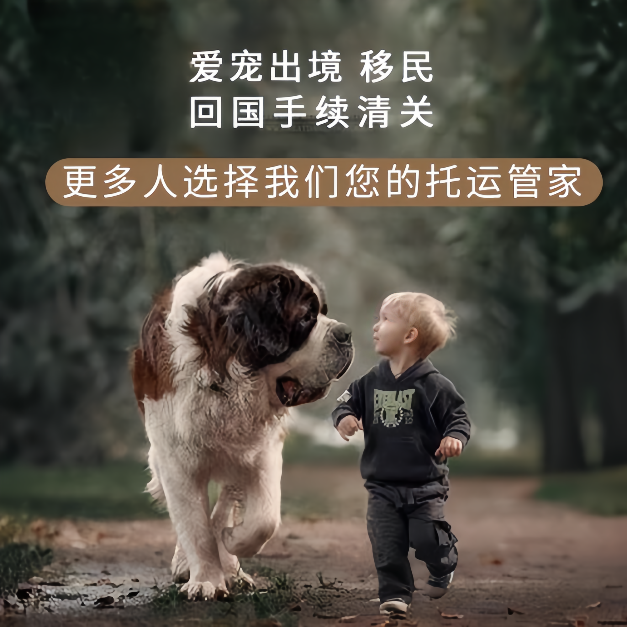 满财汕尾市宠物全球达宠物托运在遵守入境目的地政策的条件