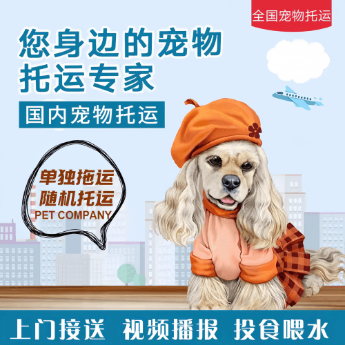 满财汕尾市宠物全球达宠物托运作为专业的宠物运输代理机构